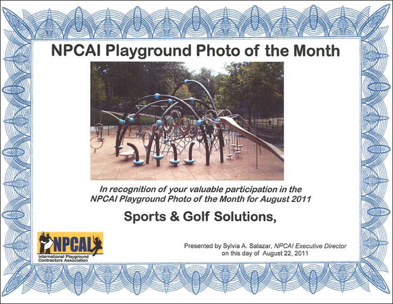 NPCAI Playground of the Month